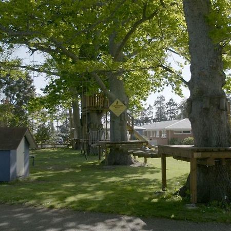 Te Aroha Holiday Park And Motels ภายนอก รูปภาพ