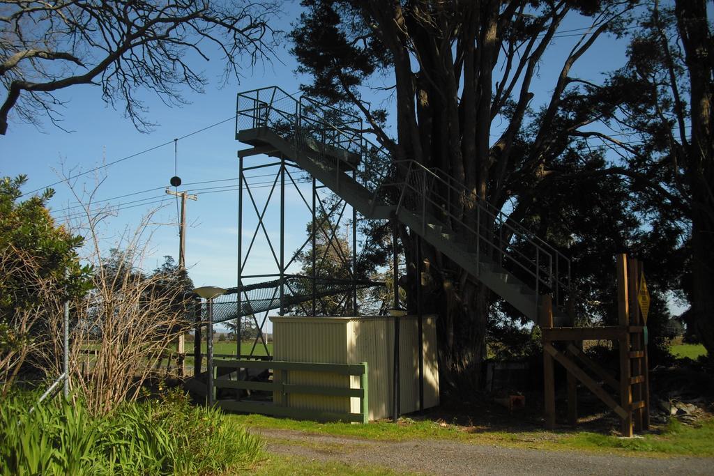 Te Aroha Holiday Park And Motels ภายนอก รูปภาพ