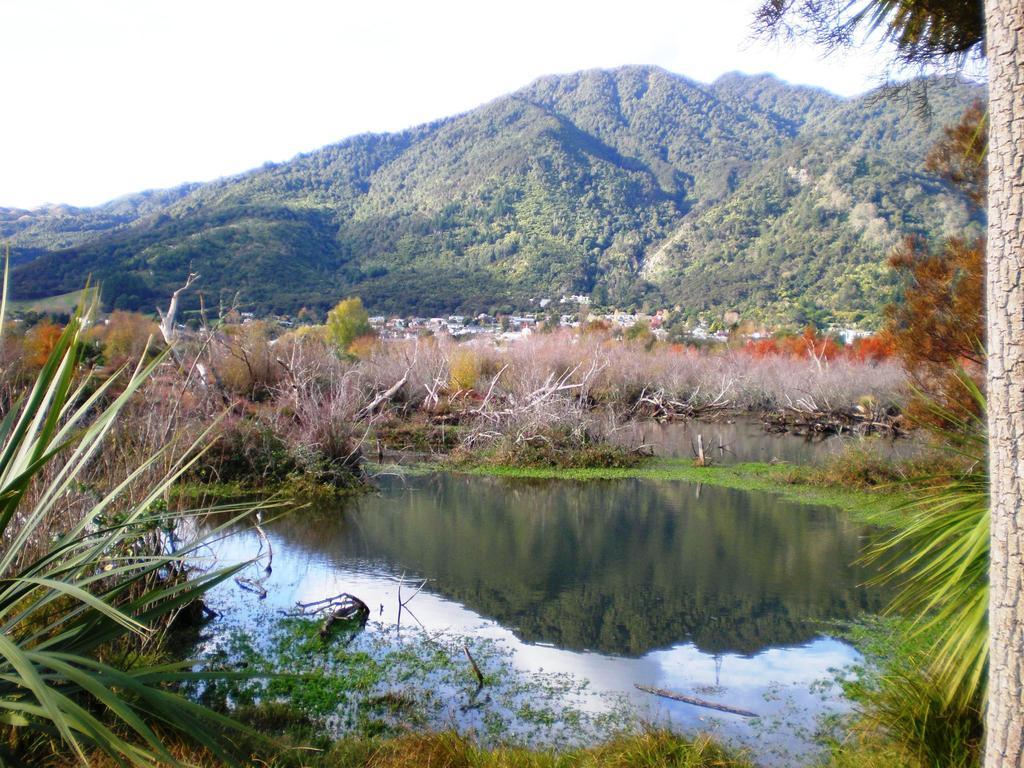 Te Aroha Holiday Park And Motels ห้อง รูปภาพ